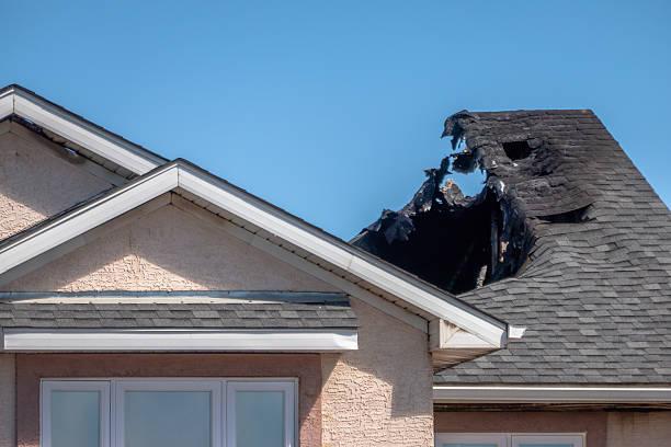 Top rated local Fire Damage Removal specialists in Hampton, MN